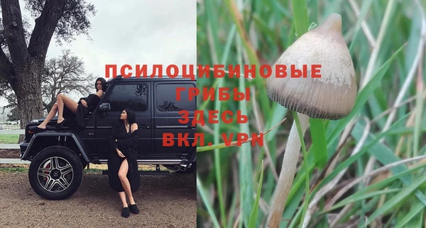 эйфоретик Алзамай