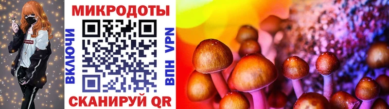 блэк спрут   Петушки  Галлюциногенные грибы ЛСД 